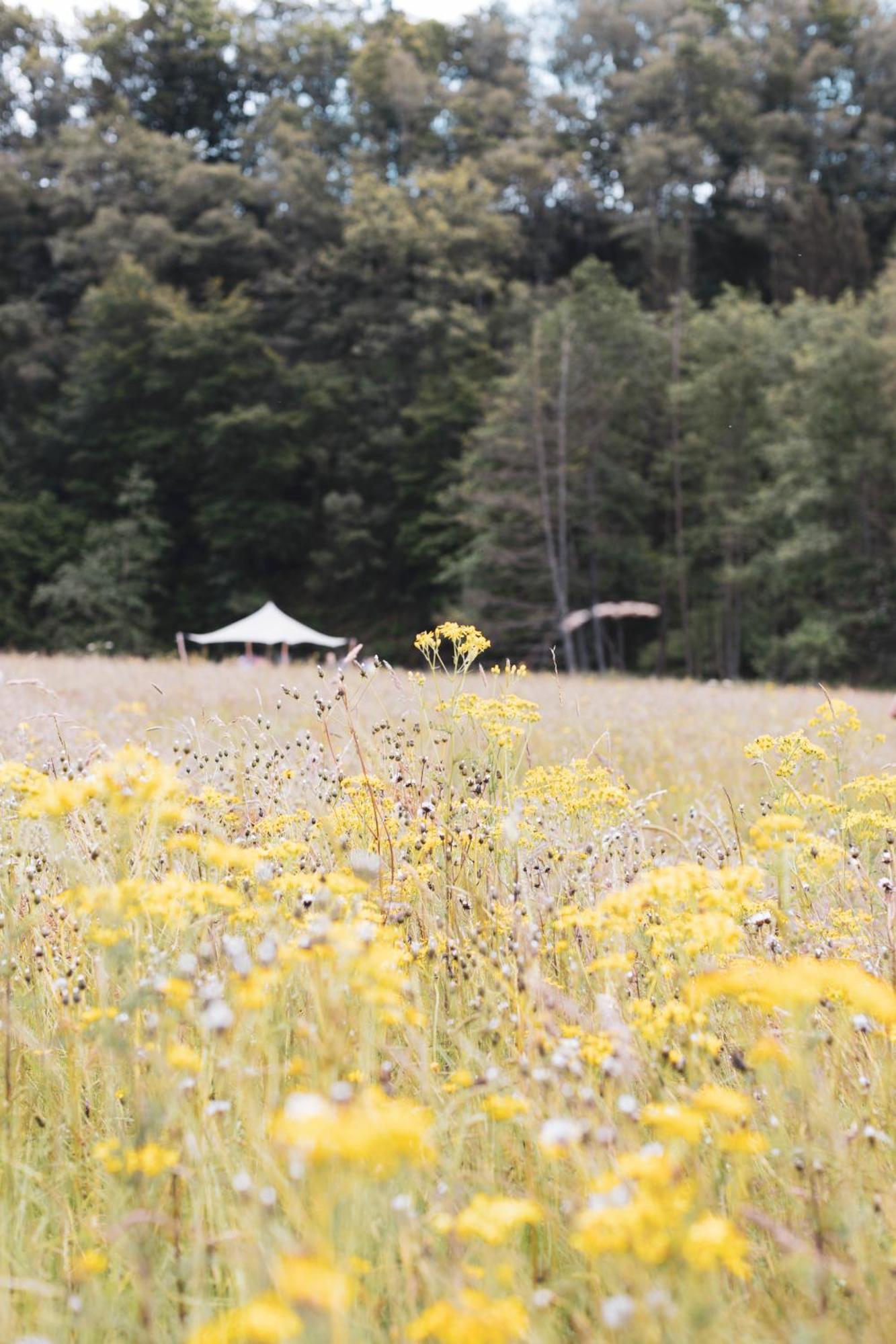 Paddock Lodge - Suites Wellness & Chambres D'Hotes Stoumont Buitenkant foto